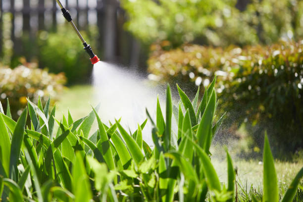 24/7 Emergency Ant Control experts in Barry, IL